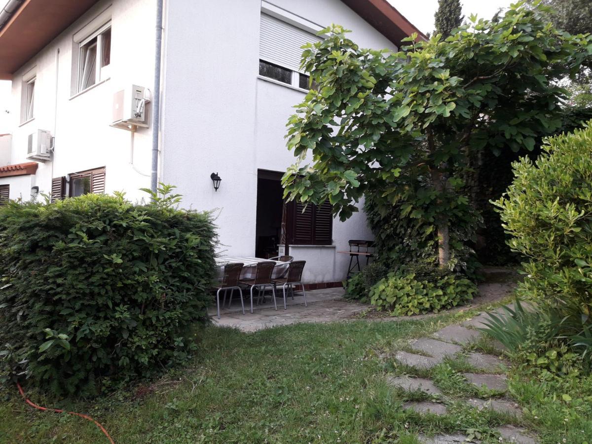 Apartment Bellavista