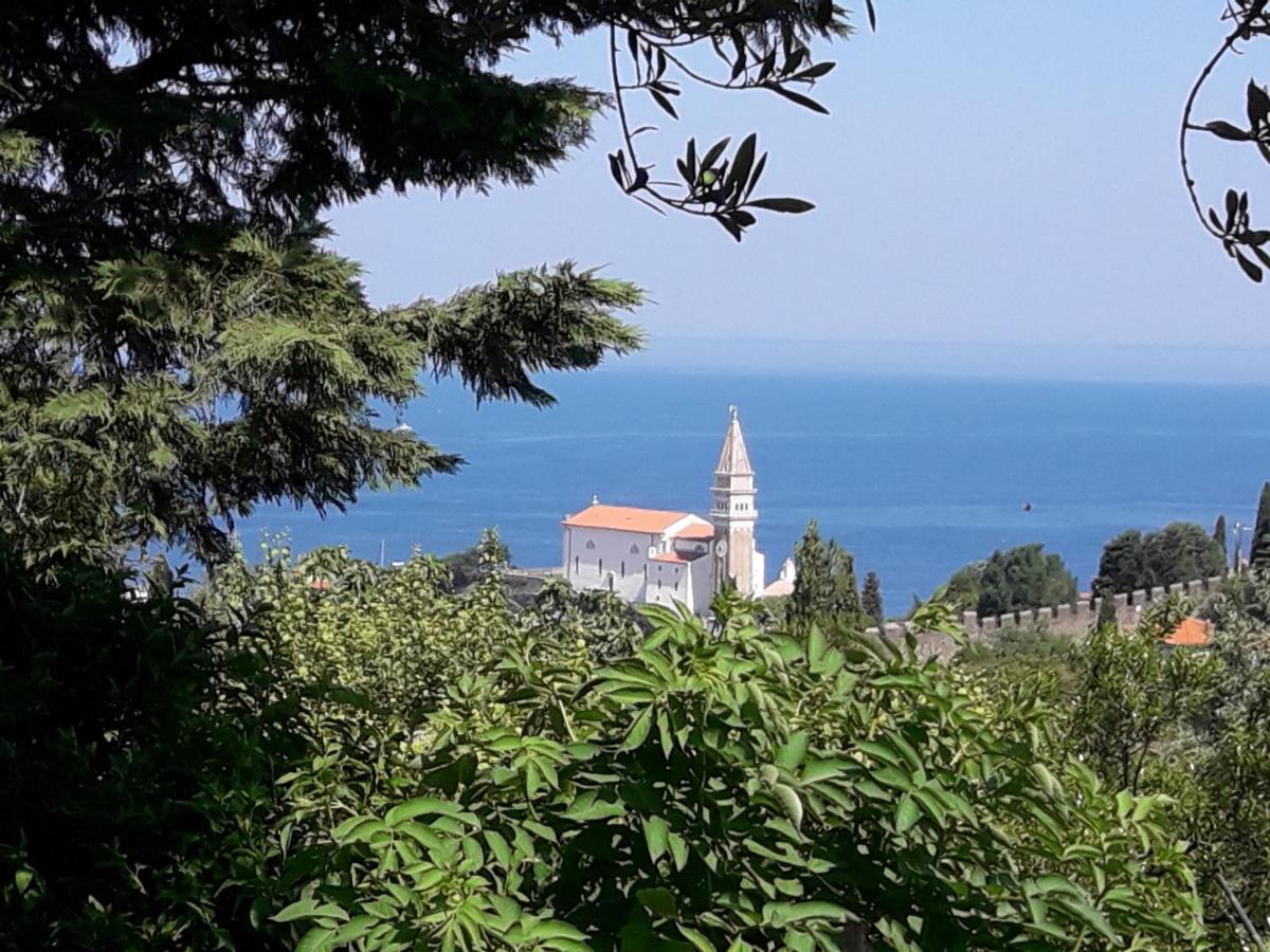 Apartment Bellavista Piran