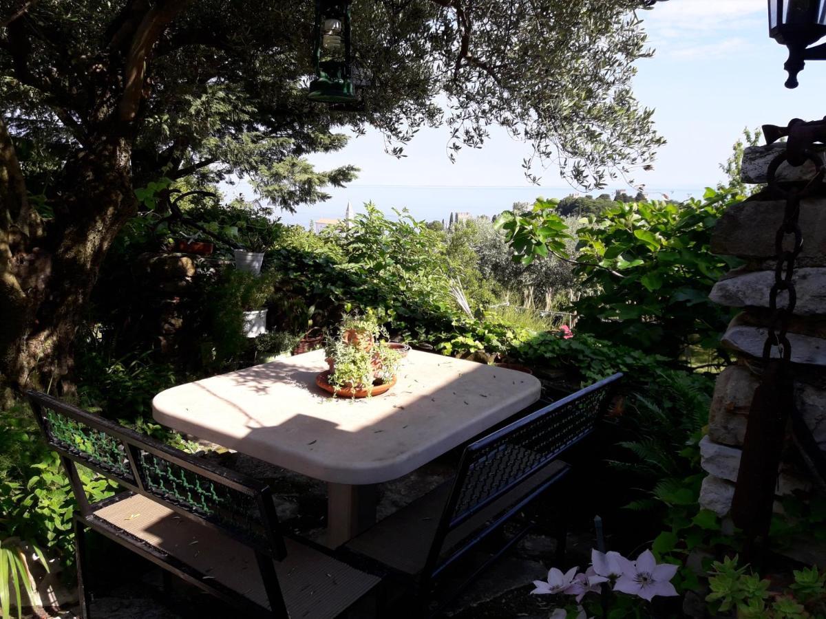Apartment Bellavista