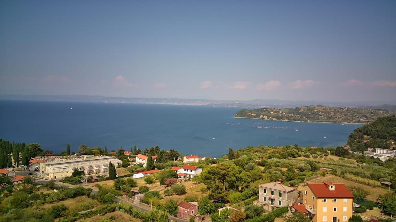 Bellavista Piran