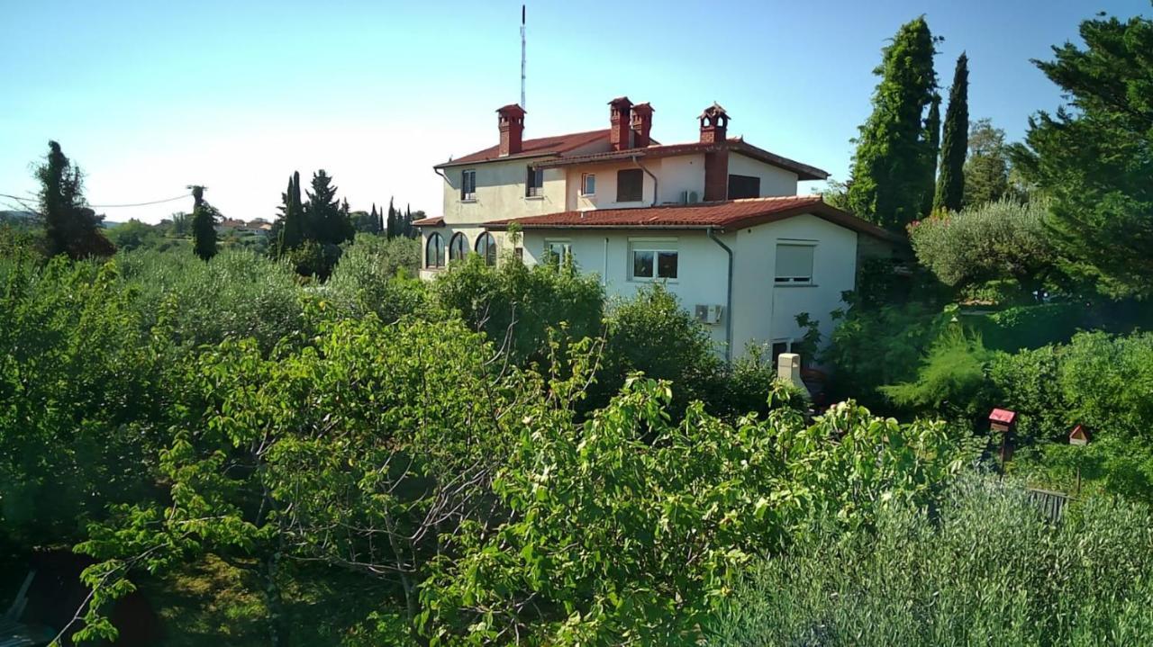 Apartment Bellavista *