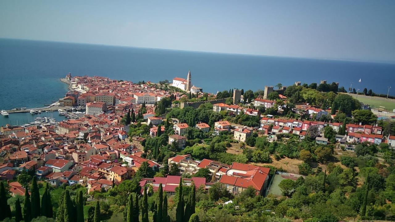 Bellavista *